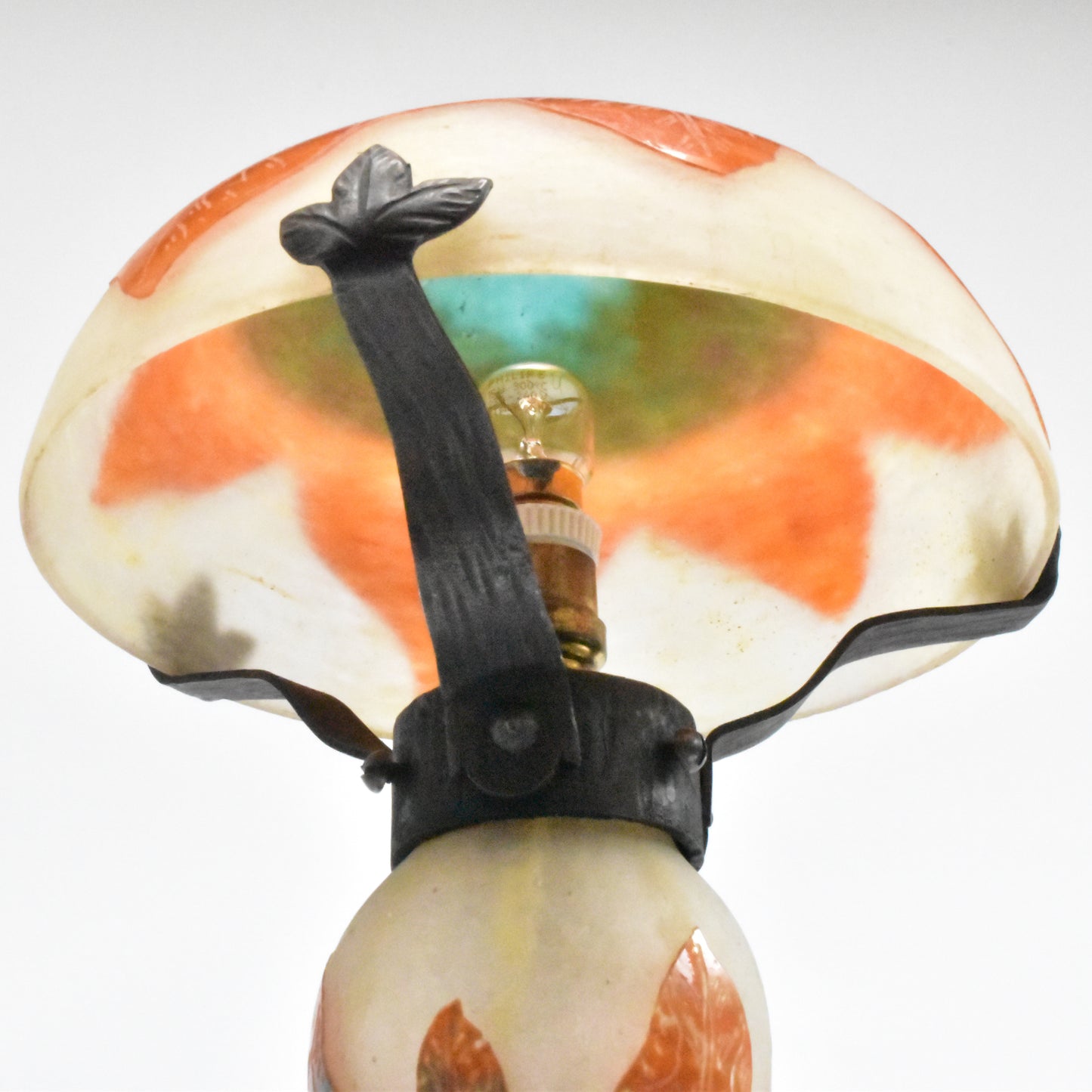 Feuilles de groseilles