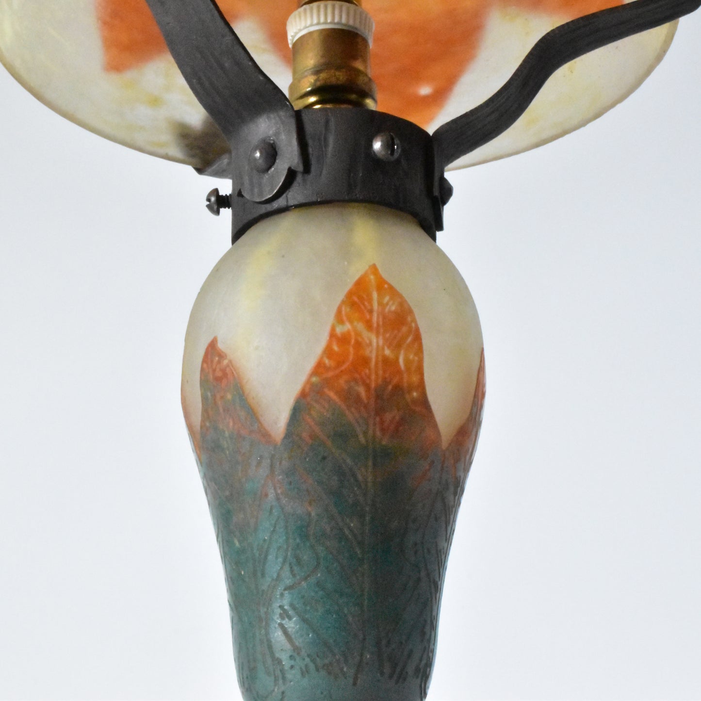 Feuilles de groseilles